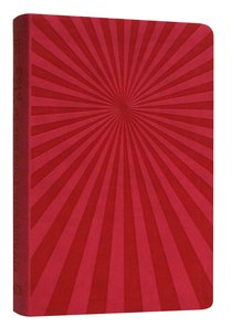KJV Illustrated Study Bible For Kids (Pink) KJV Illustrated Study Bible For Kids (Pink)