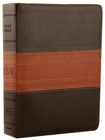 ESV Study Bible Forest/Tan Trail Design (Black Letter Edition) ESV Study Bible Forest/Tan Trail Design (Black Letter Edition)