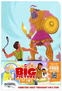 HCSB the Big Picture Interactive Bible For Boys HCSB the Big Picture Interactive Bible For Boys
