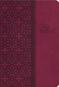 KJV Classic Personal Size Giant Print End-Of-Verse Reference Bible (Red Letter Edition) KJV Classic Personal Size Giant Print End-Of-Verse Reference Bible (Red Letter Edition)