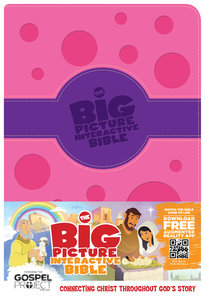 HCSB the Big Picture Interactive Bible For Girls HCSB the Big Picture Interactive Bible For Girls