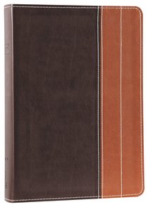 NIV Essentials Study Bible Chocolate/Tan NIV Essentials Study Bible Chocolate/Tan