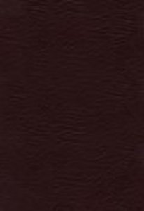 KJV Womans Study Bible Burgundy KJV Womans Study Bible Burgundy