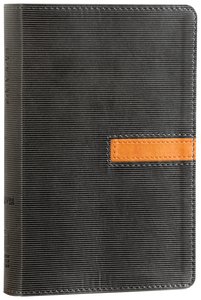 NIV Thinline Bible Compact Graphite/Sierra Duo-Tone (Red Letter Edition) NIV Thinline Bible Compact Graphite/Sierra Duo-Tone (Red Letter Edition)