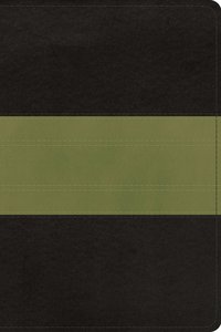 ESV Study Bible Personal Size Charcoal Sage Trail Trutone (Black Letter Edition) ESV Study Bible Personal Size Charcoal Sage Trail Trutone (Black Letter Edition)