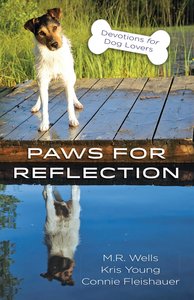 Paws For Reflection Paws For Reflection