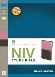 NIV Study Indexed Bible Italian (Red Letter Edition) NIV Study Indexed Bible Italian (Red Letter Edition)