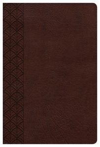 CSB Study Bible For Women Chocolate CSB Study Bible For Women Chocolate