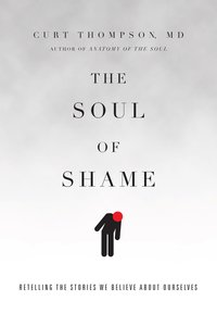 The Soul of Shame: Retelling the Stories We Believe About Ourselves The Soul of Shame: Retelling the Stories We Believe About Ourselves