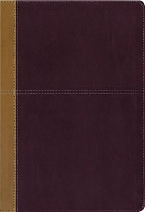 Kjv/Amp Side-By-Side Bible Large Print Kjv/Amp Side-By-Side Bible Large Print