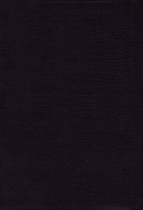 Kjv/Amplified Parallel Bible Large Print Kjv/Amplified Parallel Bible Large Print