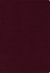 NIV Thinline Bible Large Print Burgundy Red Letter Edition NIV Thinline Bible Large Print Burgundy Red Letter Edition