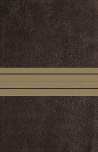 NIV Thinline Bible Giant Print Brown/Tan Red Letter Edition NIV Thinline Bible Giant Print Brown/Tan Red Letter Edition