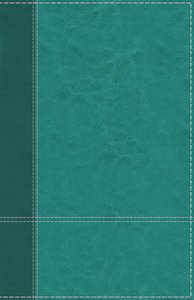 NIV Personal Size Reference Bible Large Print Blue (Red Letter Edition) NIV Personal Size Reference Bible Large Print Blue (Red Letter Edition)