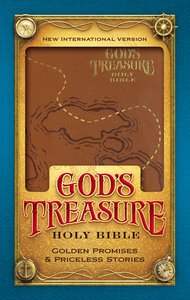 NIV Gods Treasure Holy Bible Dark Tan (Black Letter Edition) NIV Gods Treasure Holy Bible Dark Tan (Black Letter Edition)