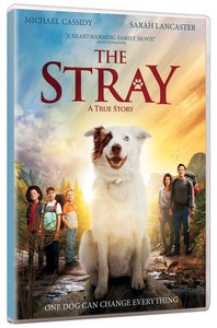 The Stray The Stray