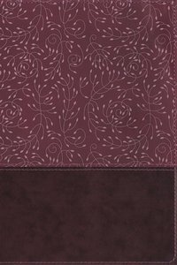 NRSV Thinline Reference Bible Burgundy Indexed NRSV Thinline Reference Bible Burgundy Indexed